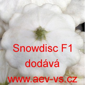 Patizon (tykev obecná) hybridní Snowdisc F1