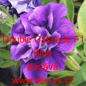 Petúnie velkokvětá plnokvětá Double Cascade F1 Blue