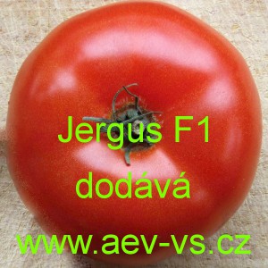 Rajče tyčkové hybridní Jergus F1