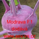 Kedluben modrý hybridní Modrava F1