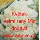 Květák velmi raný Mix