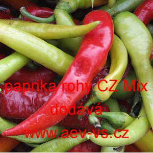 Paprika roční zeleninová rohy CZ Mix