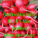 Ředkvička hybridní letní EU F1 Mix