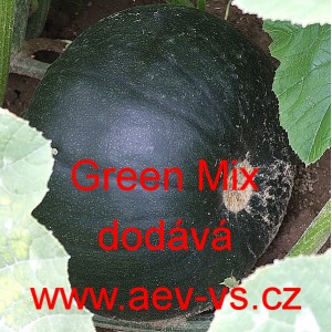 Tykev obecná cuketa kulatá Green Mix